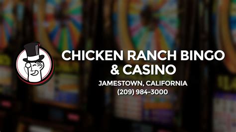 bingo casino california/